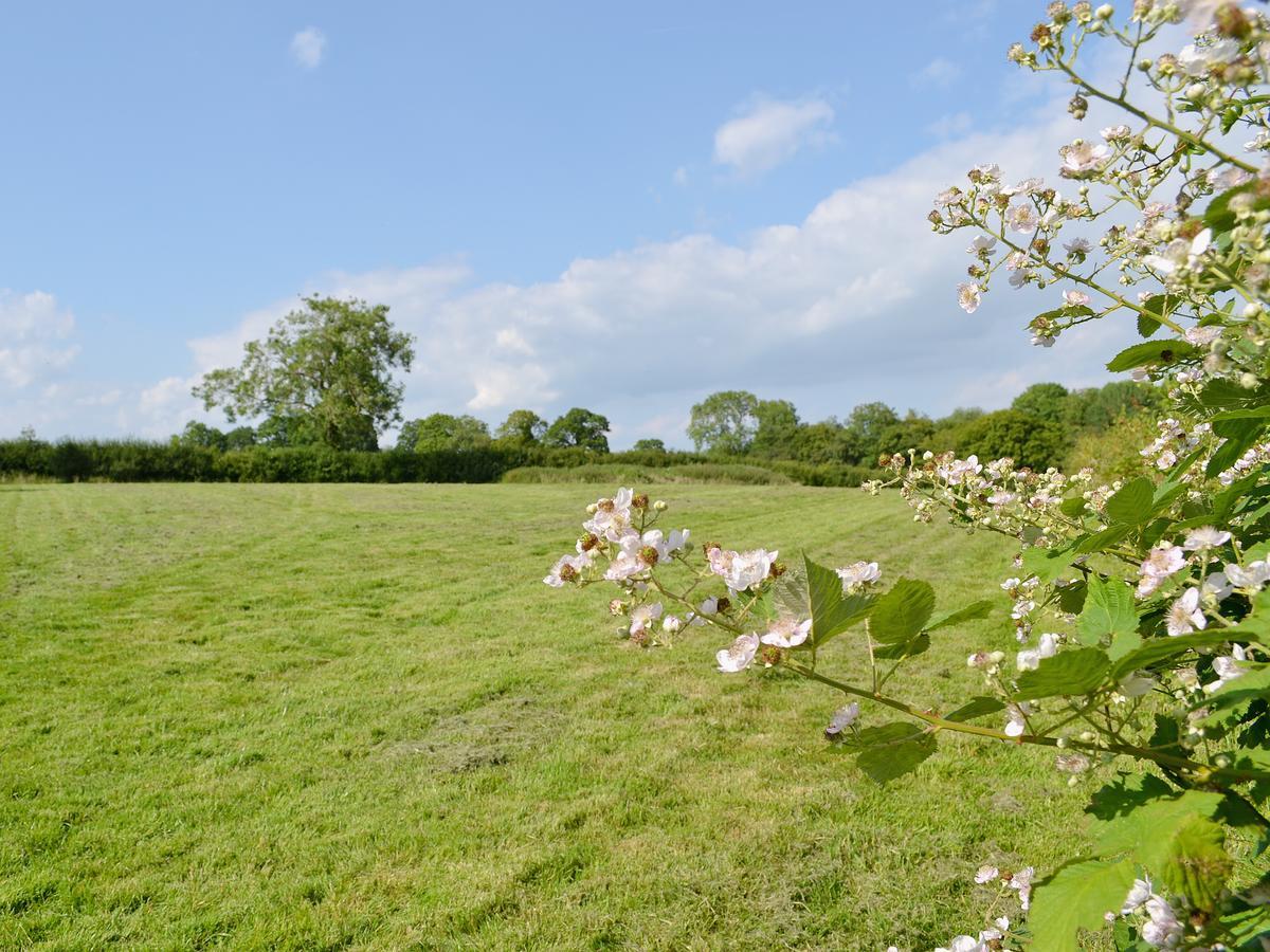 Tiger Villa Horsted Keynes ภายนอก รูปภาพ